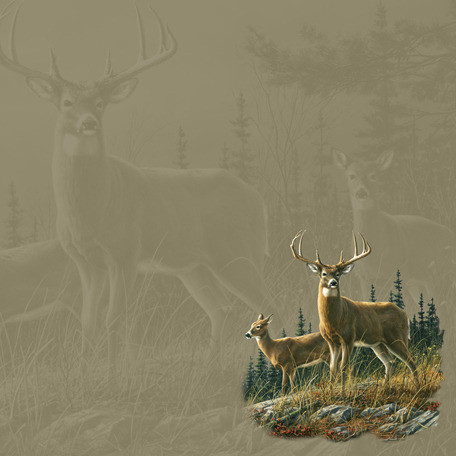 Lot De Gravures Anciennes Chasse Et Nature, Vers 1900, Pour Scrapbooking Et Encadrement