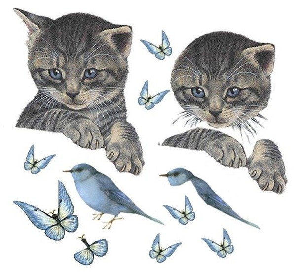 Chat 3d gratuit en ligne